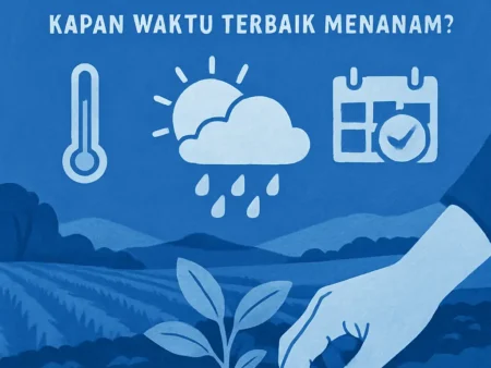 Prakiraan Cuaca untuk Pertanian: Kapan Waktu Terbaik Menanam?
